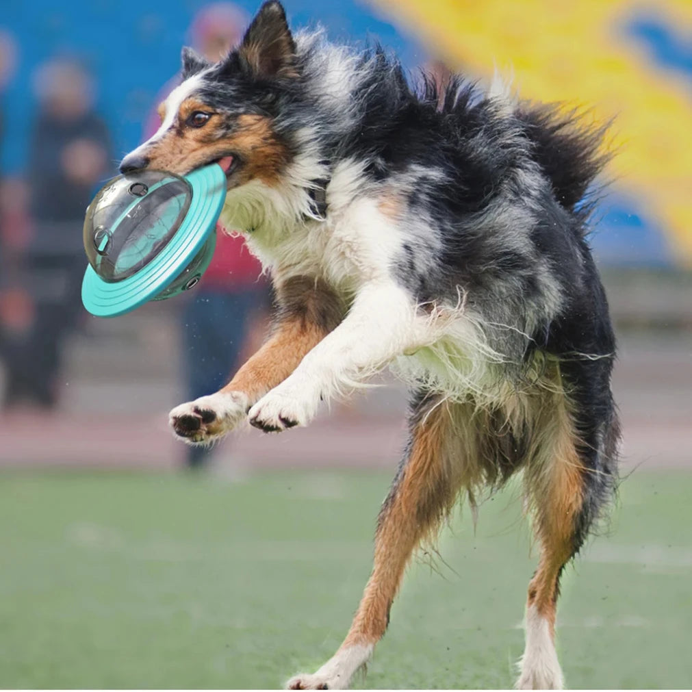 speelgoed hond klein/middel/groot rassen
