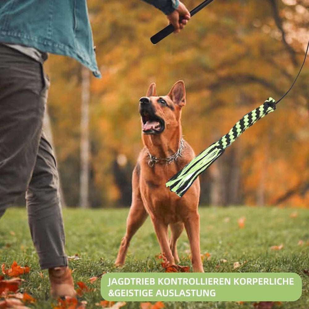 trekspel voor hond/kat