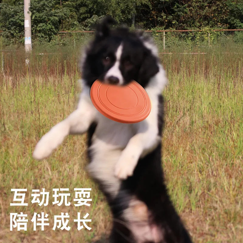 duurzame frisbee