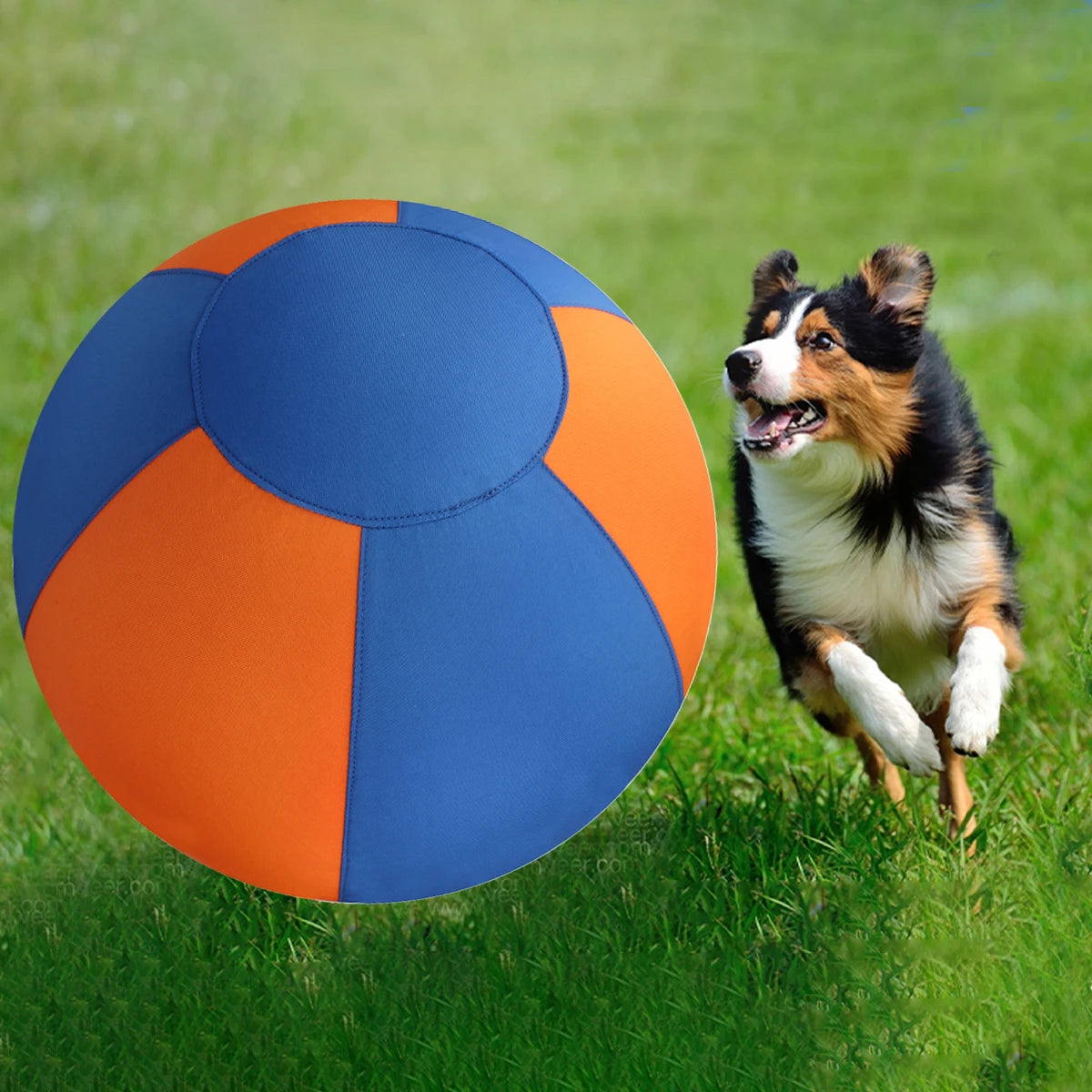 Extra Grote Dierenbal – Stevig Speelplezier voor Honden en Paarden