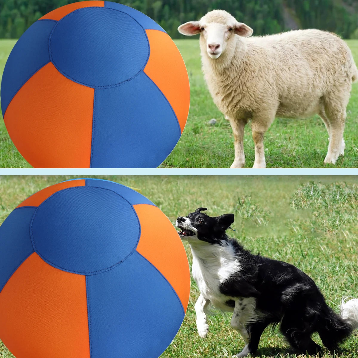 Extra Grote Dierenbal – Stevig Speelplezier voor Honden en Paarden