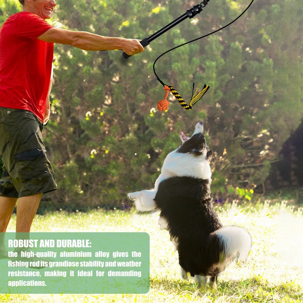 trekspel voor hond/kat