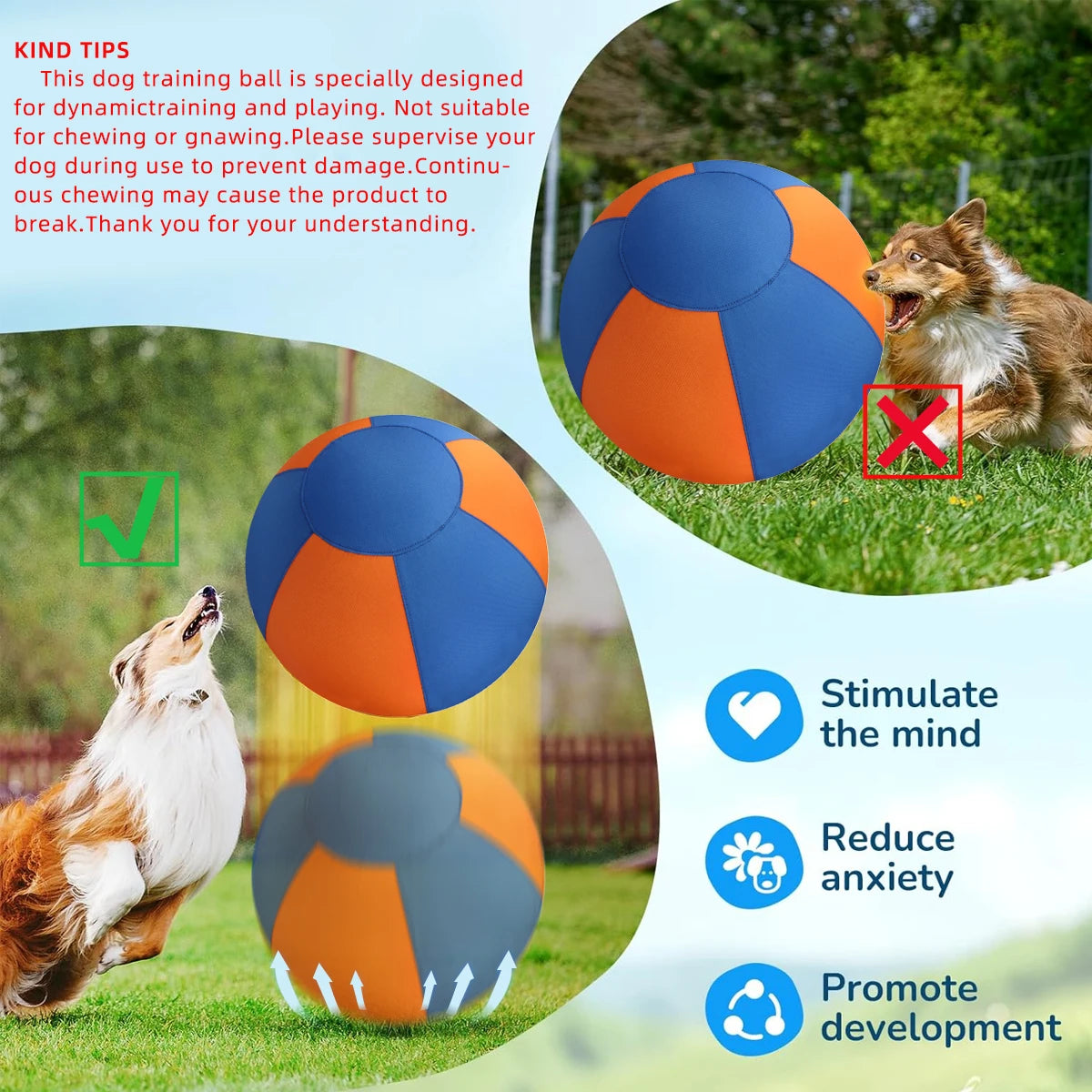 Extra Grote Dierenbal – Stevig Speelplezier voor Honden en Paarden