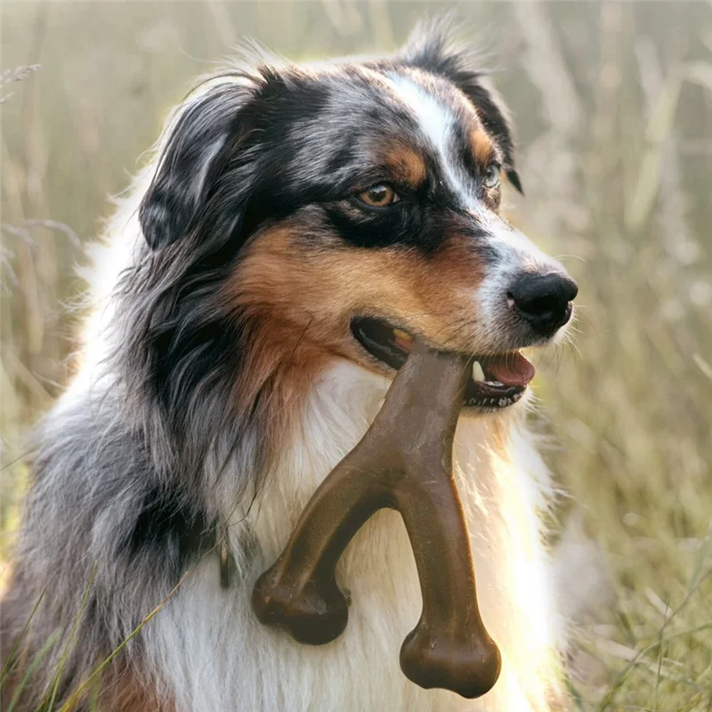 Bamboo Bone
