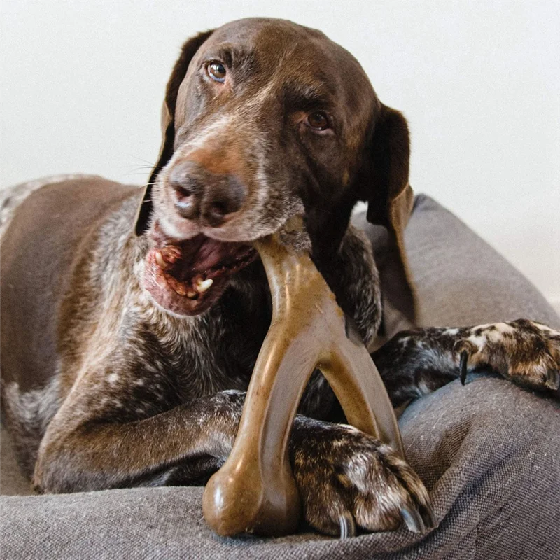 Bamboo Bone
