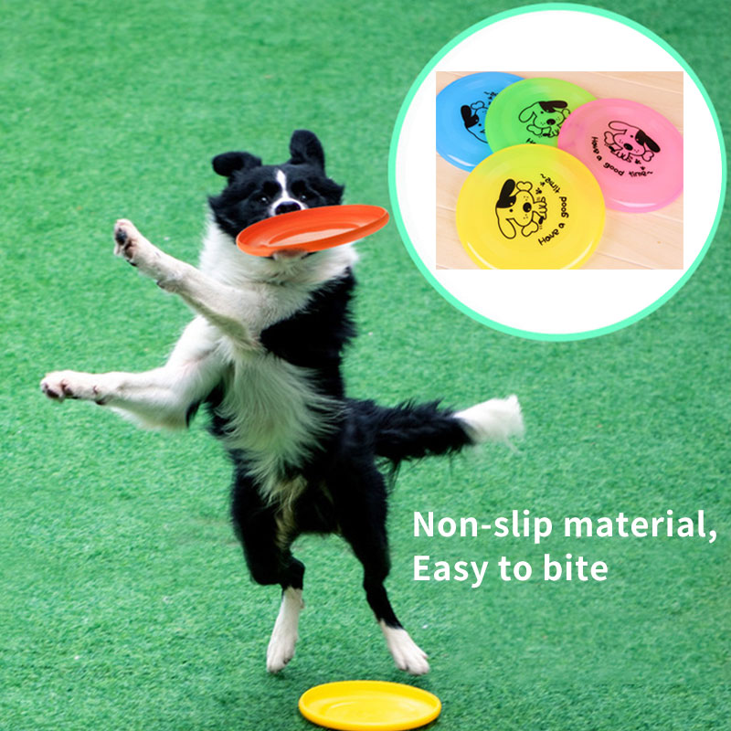 honden frisbee