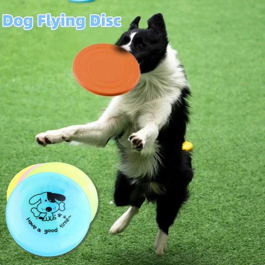 honden frisbee
